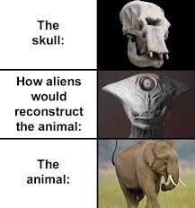 28 Animal Memes That Riff On Their Misleading Skeletal Structures In 2020 Animal Memes Animals Memes