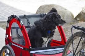 Hundefahrradanhanger Test 2020 Unsere Empfehlungen Im Vergleich