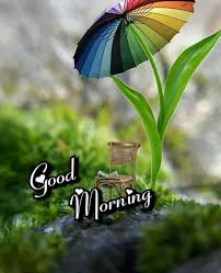 Goedemorgen Good Morning Photos Rainy Good Morning Good Morning Gif