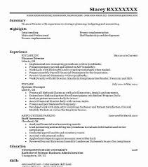 Finance manager resume example finance managers bear a lot of responsibility for the financial health of an organization. Finance Director Resume Summary Financeviewer