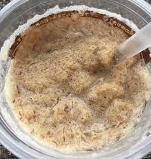「カフェフラッペ」の画像検索結果