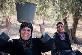 We ended our time up on a hill, on another jewish settlement where a jewish man had been murdered, resulting in the israeli government giving permission for the settlers to build there. What To See And Do In The West Bank Palestine Travel2palestine