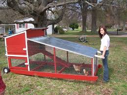Portable Chicken Coop On Wheels Why Choose A Mobile Chicken Coop Chicken Coop How To Fo In 2020 Chicken Coop On Wheels Mobile Chicken Coop Chicken Coop Pallets