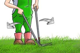 1.2kg making it easy to use for even lesser able gardeners. How To Use Edging Shears Wonkee Donkee Tools