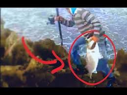 Comment Pecher Les Plus Gros Bars En Hiver Peche Peche En Mer Peche Au Gros