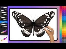 كيف ترسم فراشه كبيره الفن التشكيلي تعليم الرسم للمبتدئين youtube draw