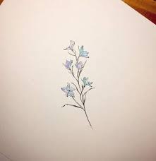 New Flowers Tattoo Ideas Larkspur 54 Ideas Larkspur Tattoo Delphinium Tattoo Larkspur Flower