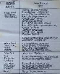 Racun rumput murah buatan sendiri terbukti mematikan. Warisan Petani Racun Rumpai 2 Racun Sentuh