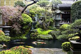 Want This Japanese Water Gardens Japanese Garden Design Japan Garden