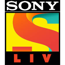 Lettering logo liv wan illustration, hand lettering, text, logo, banner png. Spi Seals India Distribution Deal With Sony Liv Deals News Rapid Tv News