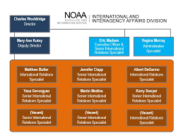 Noaa Satellite And Information Services International And