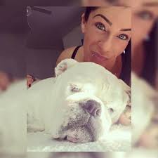 Tribute to a heroic english bulldog