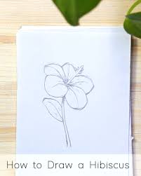 12 tutorials of how to do flower drawing easy with pictures step by step. How To Draw Flowers Step By Step Tutorials For Beginners Jeyram Spiritual Art