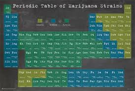 Periodic Table Of Marijuana Strains Reference Chart Poster 36x24