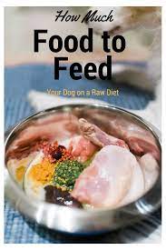 Learn How Much Food To Feed Your Dog On A Raw Diet Use Our 5 Step Checklist Raw Dog Food Diet Raw Dog Food Recipes Make Dog Food
