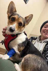 Her full recovery is everything 🤩