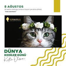 kedilerimizin dunya kedi gunu kutlu olsun royalfeles kedi cat kedikumu catlitter superlightcatlitter kedi