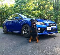 It includes things such as shampoo and polish, gloss protection, tyre and wheel cleaner as well as a sponge and finishing cloth to ensure no smears. Clean Cars And Cute Puppy S Subaru