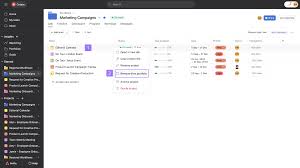 Asana portfolio dashboard
