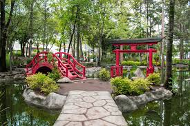 Image result for parque