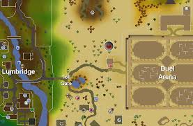 Runecrafting Guide Pages Tip It Runescape Help The