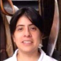 100+ "L Nunez" profiles