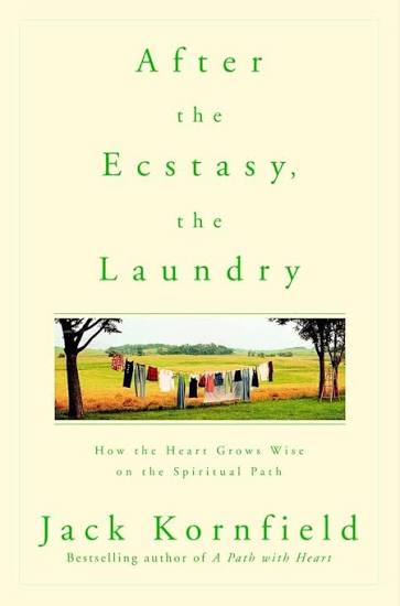 Cover of After the Ecstasy, the Laundry