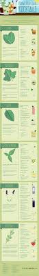 List Of Herbs And Spices The Ultimate Guide