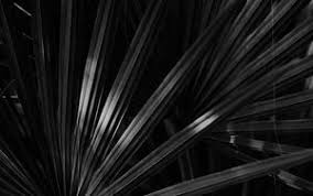 Black and gray wall, 4k wallpaper, architecture, background, brick. Bw 4k Ultra Hd 16 10 Wallpapers Hd Desktop Backgrounds 3840x2400 Images And Pictures