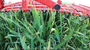 We go live on facebook or periscope, share funny cuts on youtube, do challenges on. Hackstriegel Tined Weeder Herse Etrille Aerostar Einbock Shortclip 12 Youtube