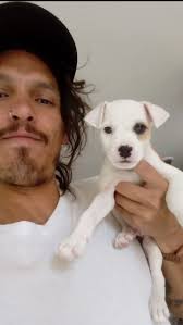 Adorable Baby Dog Photos and Comments