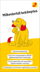 Milben Beim Hund Arten Symptome Und Effektive Hausmittel