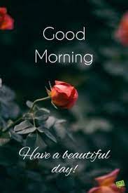 It was their intention to cook in the morning and pursue their art in the afternoon. 310 Italian Love Ideas Italian Quotes Italian Phrases Italian Memes