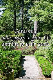 Top 30 motivational quotes for life and best happiness quotes to meet your destiny, you first have to meet your purpose―a boundless, passionate energy that guides you down a path created just for you. Inspiring Quotes About Plants And Flowers Joy Us Garden