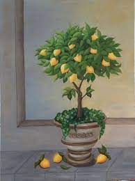 Tableau Trompe L œil Peinture A L Huile Citronnier Tableau Trompe L Oeil Citronnier Pivoine