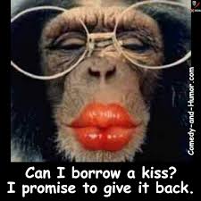 я ль на свете всех милее всех румяней и белее Come On And Give Me A Smooch Funny Monkey Pictures Monkey Pictures Monkeys Funny