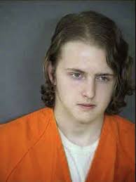 Teenager agrees to 20-year sentence