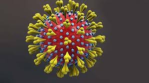 We did not find results for: Lynoverblik Dagens Tal Og Vigtigste Nyheder Om Coronavirus Stigende Antal Indlaeggelser Og Stigende Positivprocent