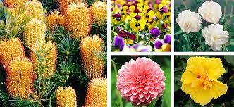 Maybe you would like to learn more about one of these? April Flower Power