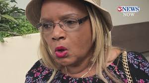 VIDEO: Mother of fatal hit-and-run driver speaks out