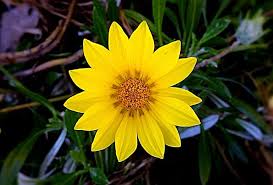 Maybe you would like to learn more about one of these? Frasi Per Mamma Defunta Pensieri Speciali Poesie E Lettere Per Ricordare Chi Non C E Piu Linkuaggio