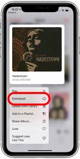 Apple music est un service de streaming qui vous donne accès à plus de 90 millions de morceaux. How To Download All Your Songs In Apple Music To Your Iphone Ios 15