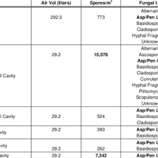 This Table Summarizes The Molds To Genus Level That Were