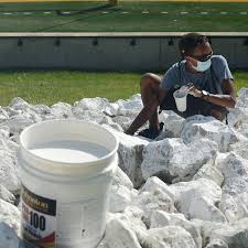 PHOTO GALLERY: Painting the M with movies, masks and mandated social  distancing