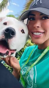 Today I want to feature ROMEZ #A2495994. Please help me share him! A total  giant teddy snow bear. , Kennel card description “Loves to cuddle”🥰 Hes a  big boy but just as GENTLE. Knows SIT. Walks great ...