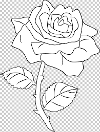 Download Line Art Drawing Rose Coloring Book Png Clipart Artwork Black Black Rose Cut Flowers Flora Free