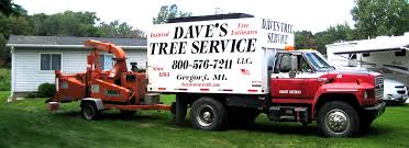 Get quotes and book instantly. Tree Service Trimming Removal Livingston County Ingham County Brighton Howell Pinckney Fowlerville Gregory Hartland Stockbridge Okemos Williamston Dexter Chelsea Michigan