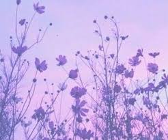 Image Result For Light Purple Aesthetic Purple Aesthetic Nature Art Photography