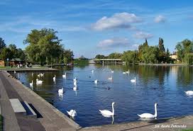 Dumna i szczęśliwa chwali się swoim synem na portalach społecznościowych Augustow Augustowskie Noce I Beata Z Albatrosa Atrakcje Turystyczne Augustowa Ciekawe Miejsca Augustowa