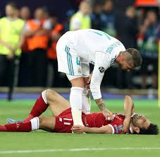 We hung a bird feeder from one of the tree's branches. Champions League 2018 Ramos Brutales Foul An Salah War Ein Meisterwerk Welt